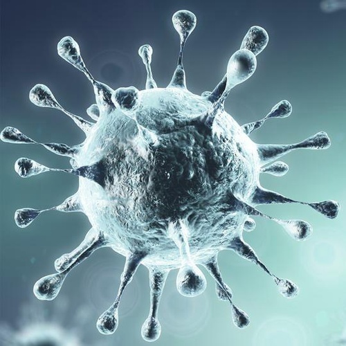 Titelbild zum News-Artikel: Arbeits- u. Arbeitsschutzrechtliche Hinweise zum Coronavirus